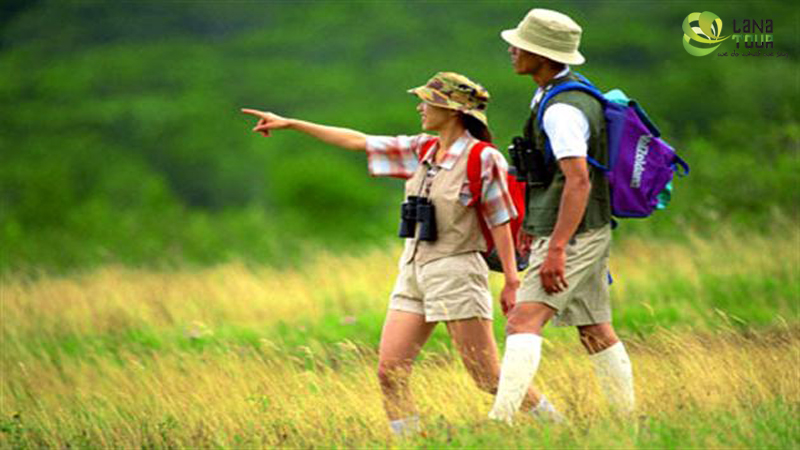 Trekking Tours